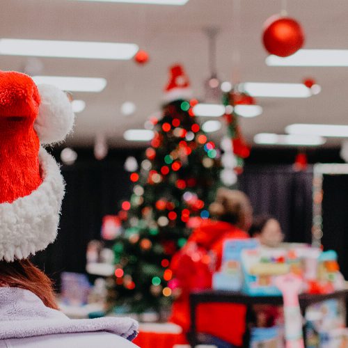 Christmas Toy Store