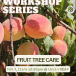 Urban REAP Community Workshop: Fruit Trees!