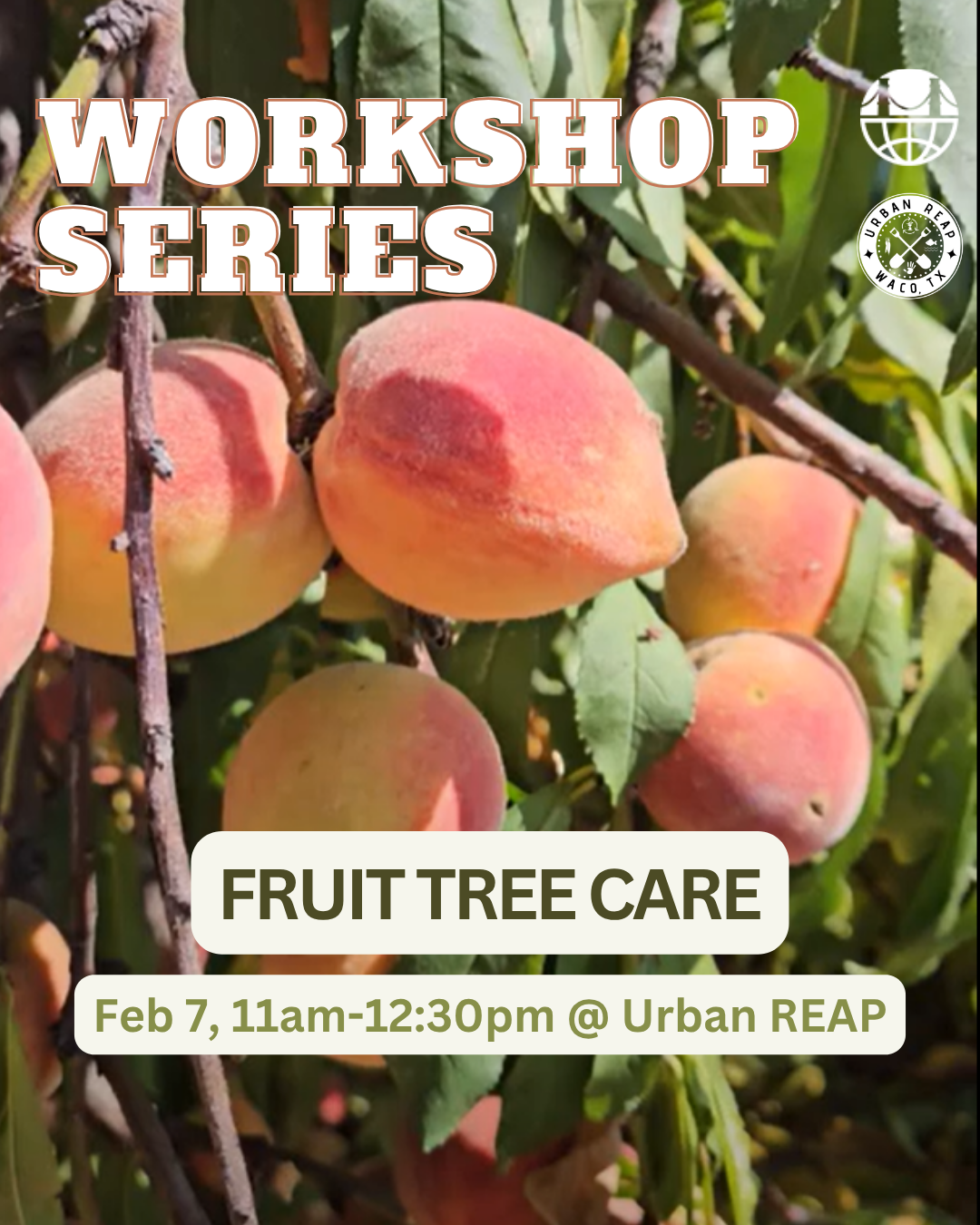 Urban REAP Community Workshop: Fruit Trees!