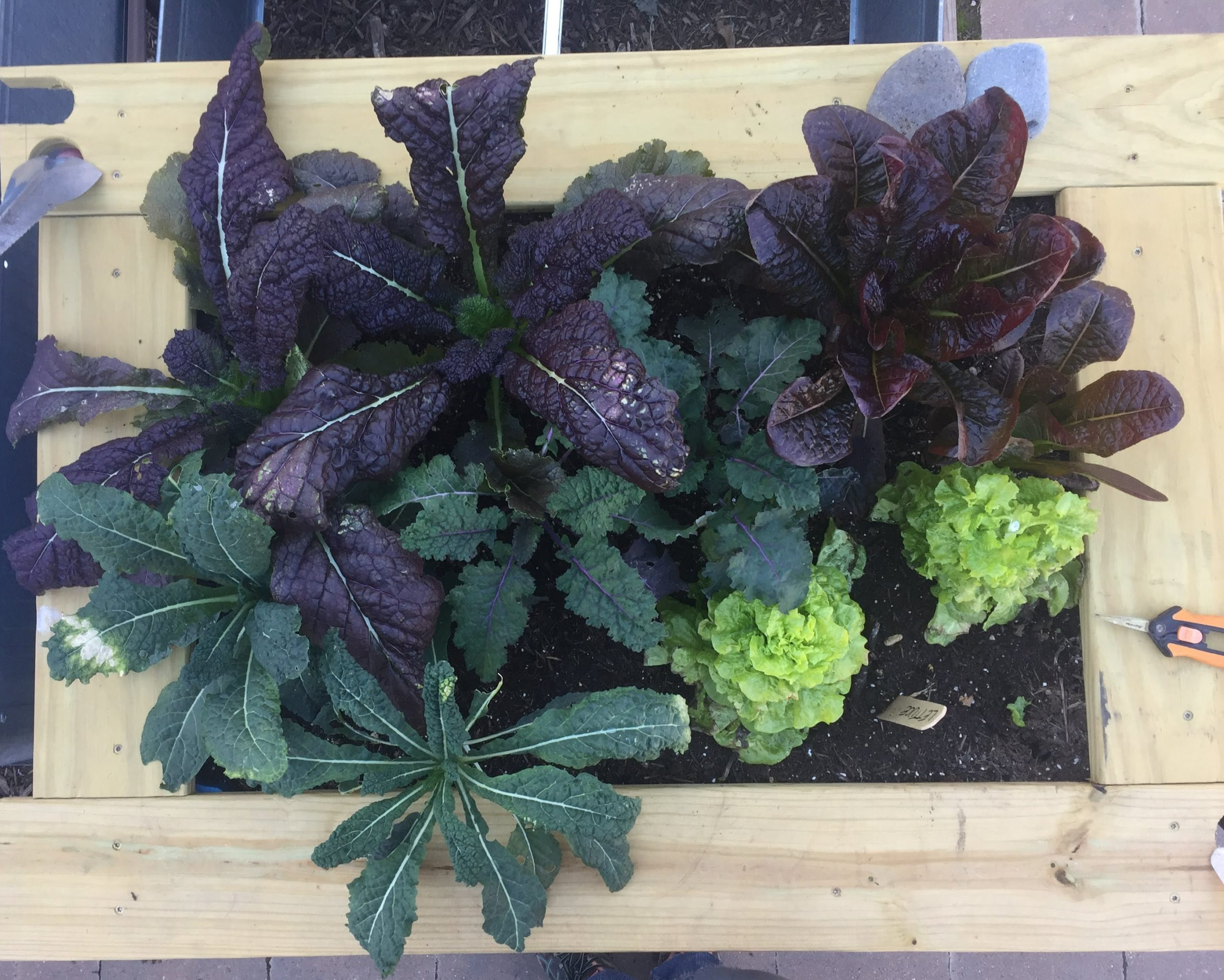 Community Workshop: Planning your Fall Garden