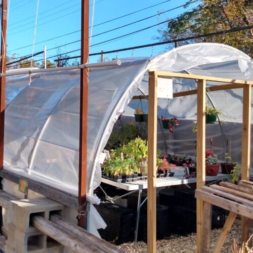 Community Workshop: Growing with Greenhouses