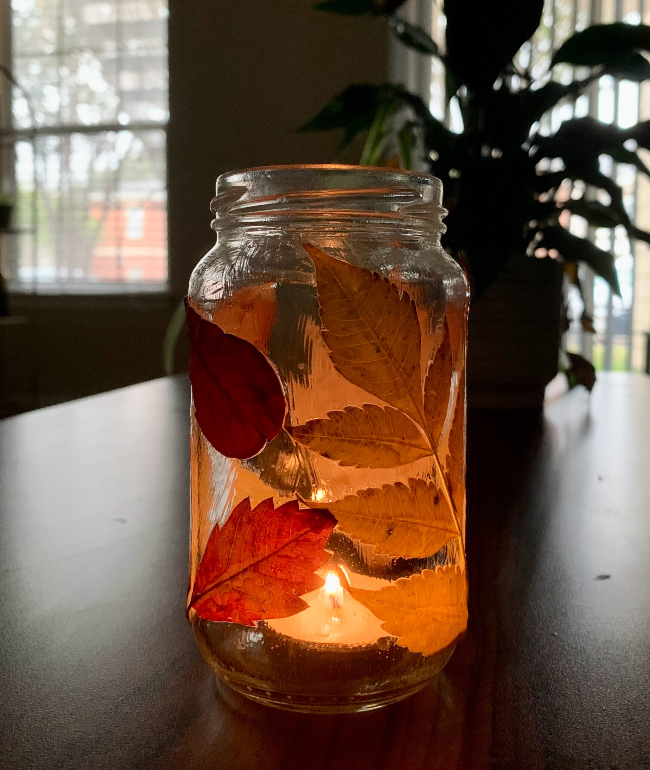 November's Discovery Activity: Fall Leaf Lanterns