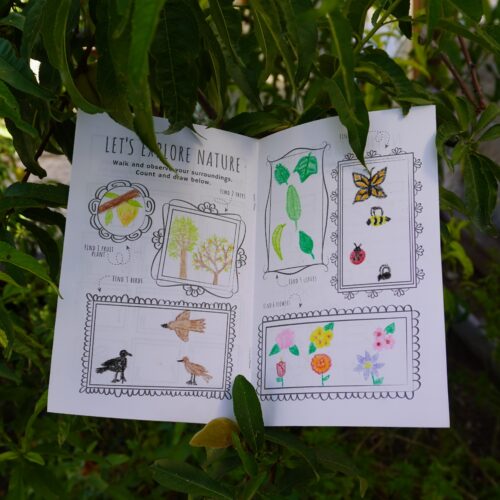 October's Discovery Activity: Nature Journal!