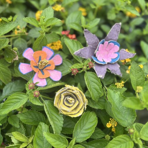 May’s Discovery Activity: Compostable Flowers