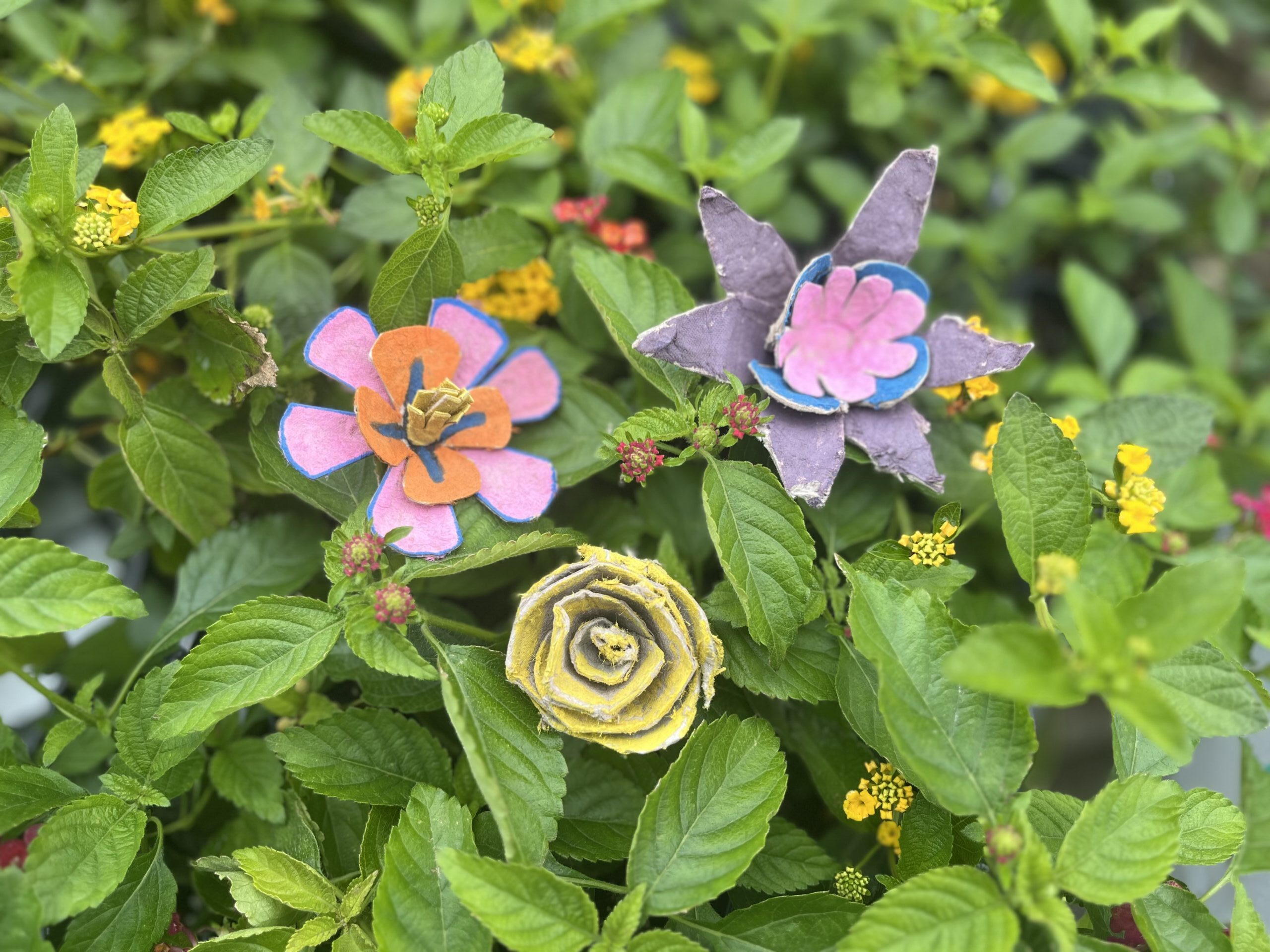 June’s Discovery Activity: Compostable Flowers