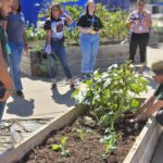 Community Workshop: Planning your Spring Garden