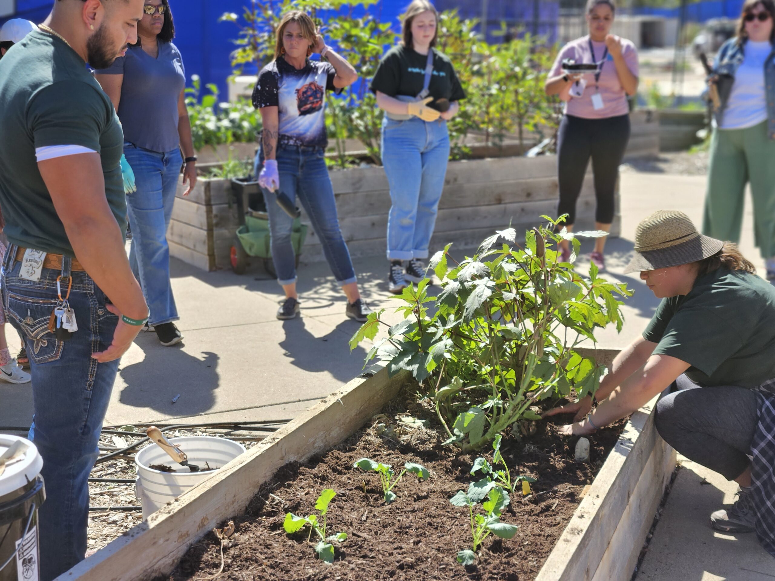 Community Workshop: Planning your Spring Garden