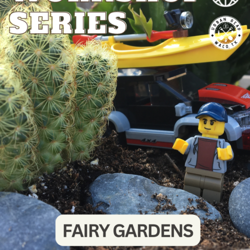 Free Community Workshop: Fairy Gardens