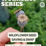 Community Workshop: Wildflower Seed Saving and Seed Swap